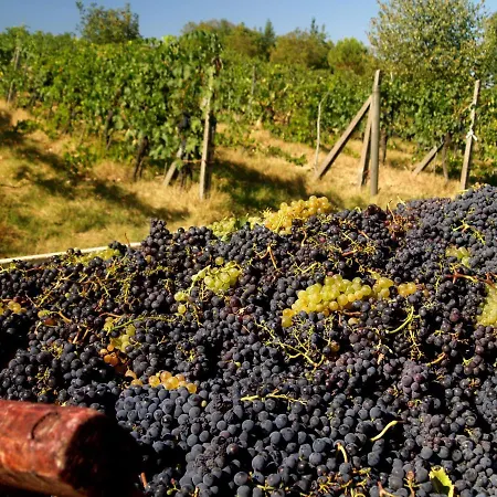 Séjour à la ferme La Roverella Monteroni dʼArbia