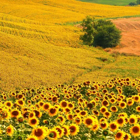 Séjour à la ferme La Roverella *