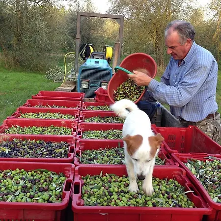 La Roverella Monteroni dʼArbia
